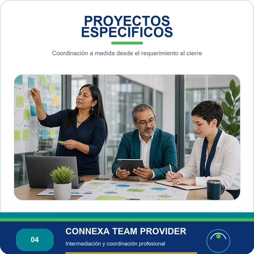Proyectos específicos Connexa Team Provider